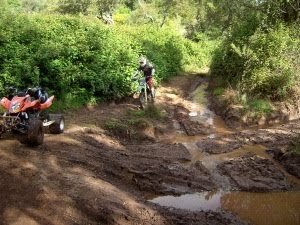 [PICT6821red[1].jpg]